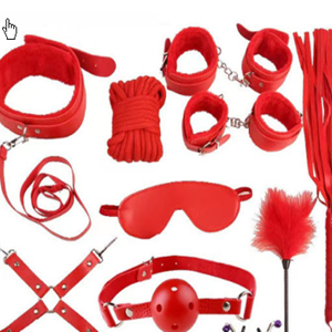 Sex Toys & SM